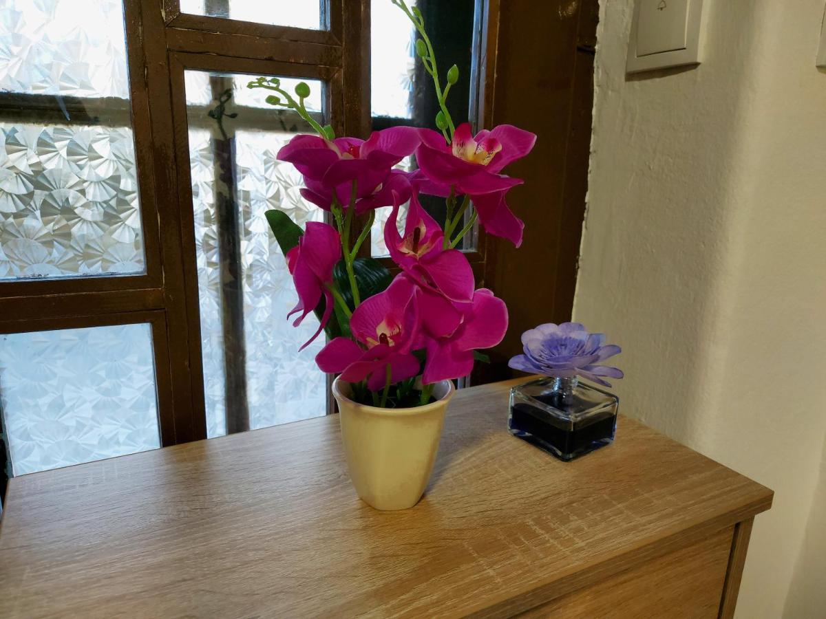 סראייבו Lovely, Neat And Quite Apartment Dalia, Private Parking מראה חיצוני תמונה